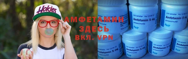 винт Алзамай