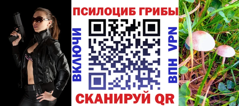 Галлюциногенные грибы GOLDEN TEACHER  ссылка на мегу рабочий сайт  Муром  как найти наркотики 